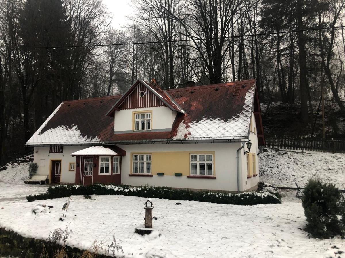 Adelle Cottage In Krkonose National Park Rudník Exteriör bild